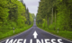 The Quest For Ultimate Health And Wellness And How To Begin