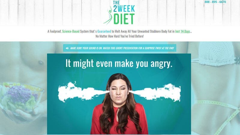 The 2 Week Diet Product Review
