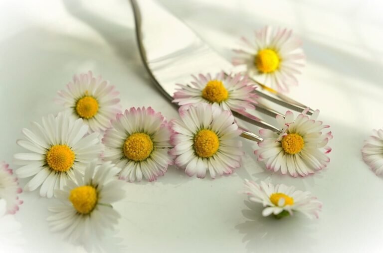Nature’s Super Foods: Edible Flowers For Your Good Health